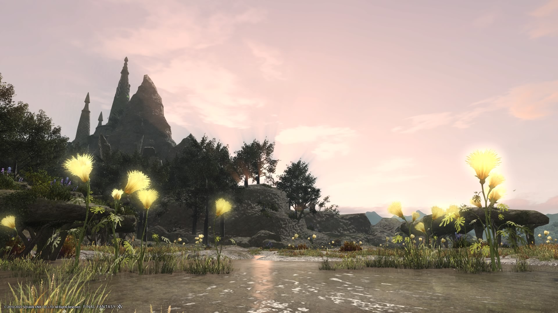 Ff14 釣り 釣り手帳埋め 黒衣森 南部森林の釣り場と魚