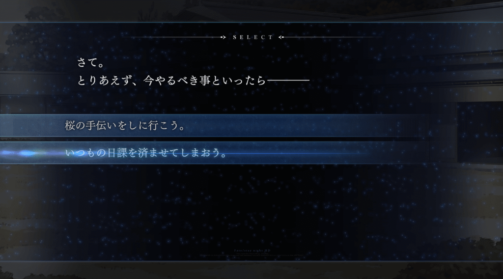 Fate,stay night,REMASTERED,攻略,