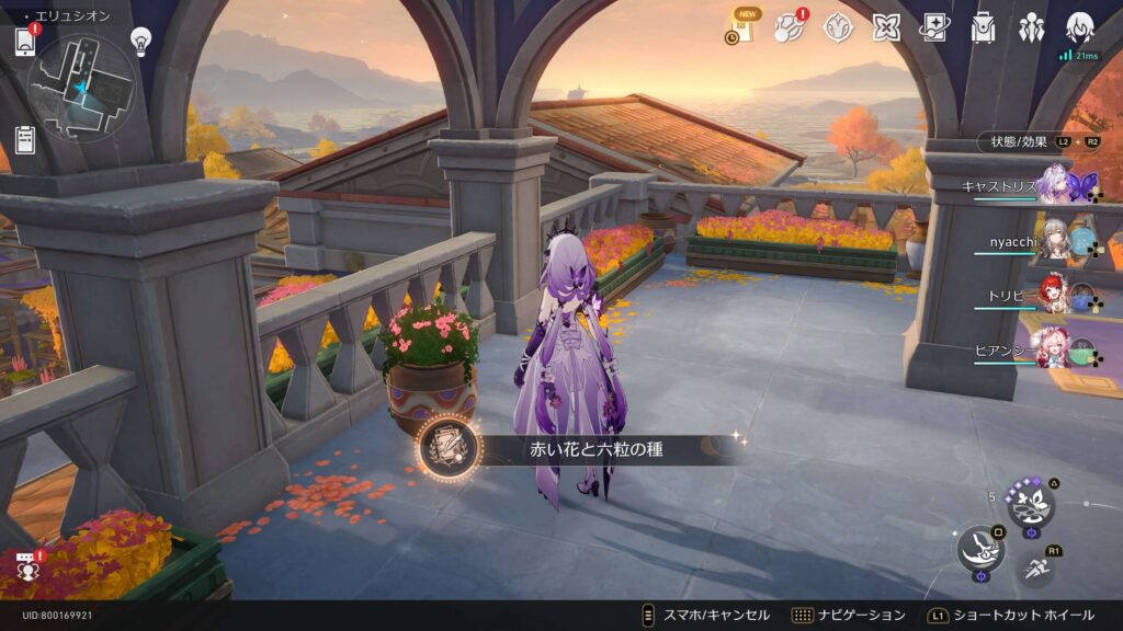 赤い花と六粒の種