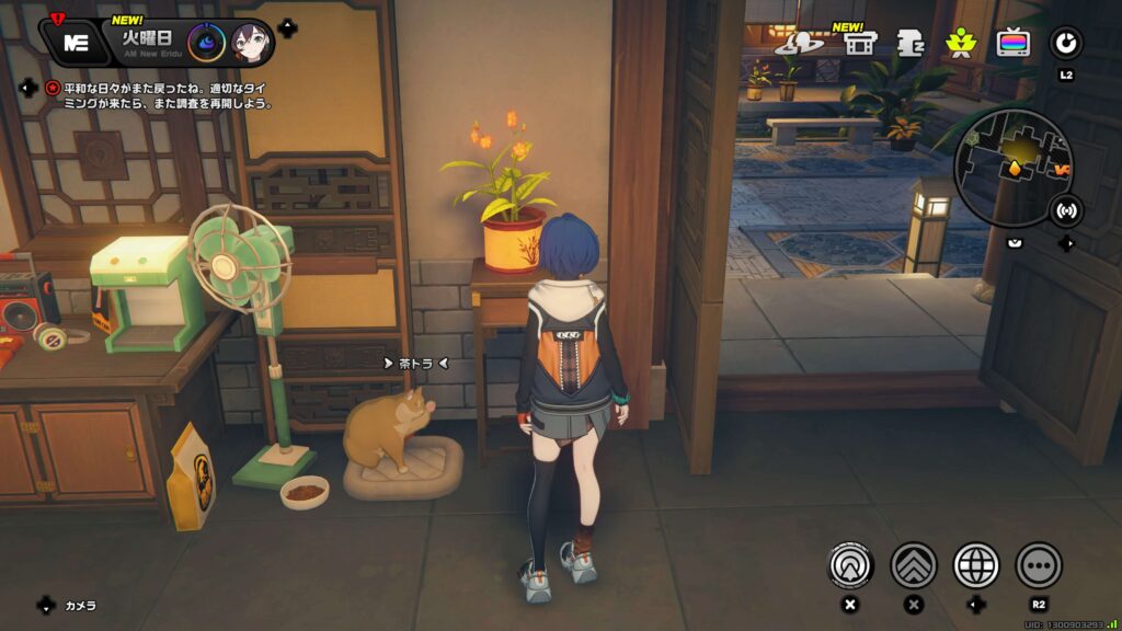 伝説プロキシ・茶トラ版,ゼンゼロ,アチーブメント,