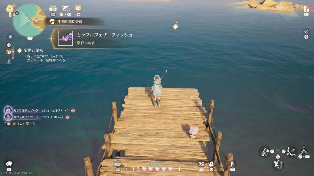 カラフルフェザーフィッシュ,インフィニティニキ,攻略,