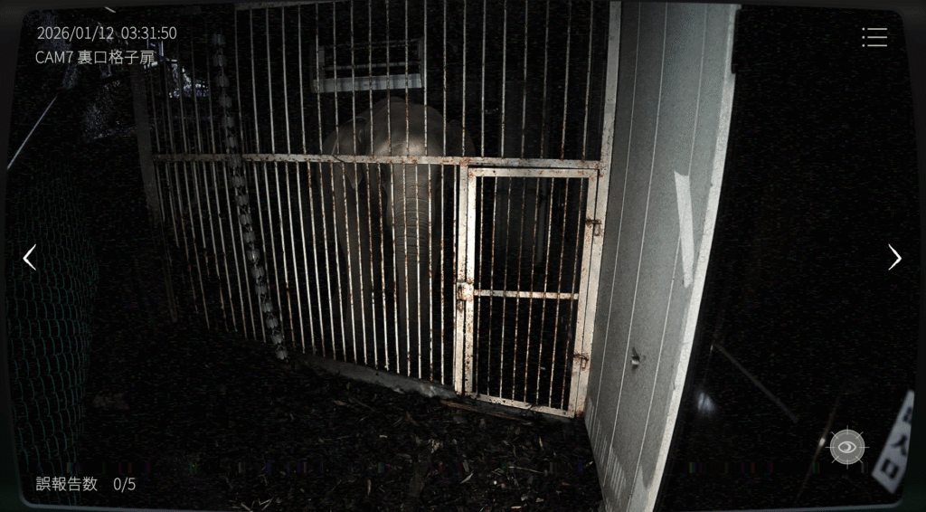 日本事故物件監視協会2,JSP2,攻略,四国,k動物病院,