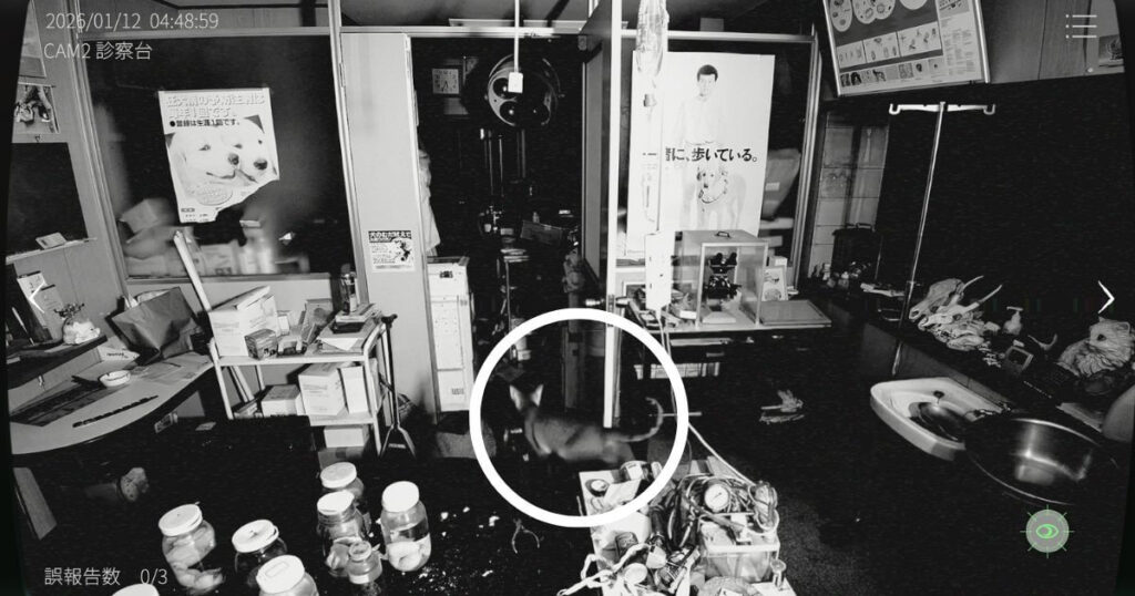 日本事故物件監視協会2,JSP2,攻略,四国,k動物病院,