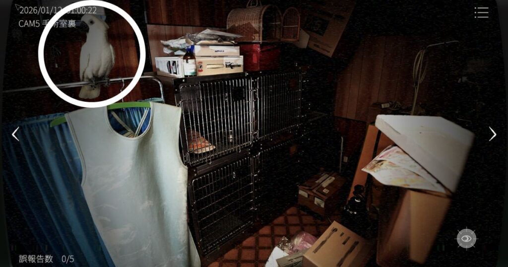 日本事故物件監視協会2,JSP2,攻略,四国,k動物病院,